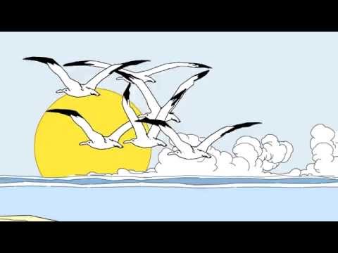 volo di gabbiani (omaggio ad Hugo Pratt)