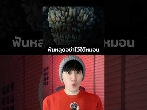 ฟันหลุดอย่าเอาไว้ใต้หมอน เพราะนางฟ้าฟันน้ำนมจะมาเอาตัวคุณ!!! เรื่อง TOOTH FAIRY | Short Horror Film