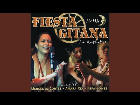 Kon sentimiento (Tangos Gipsy Flamenco)