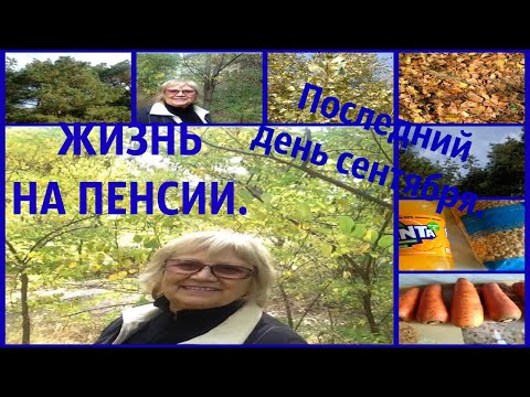 ПОСЛЕДНИЙ ДЕНЬ СЕНТЯБРЯ. ПРОГУЛКА В ЛЕСУ.МОИ ПОКУПКИ.