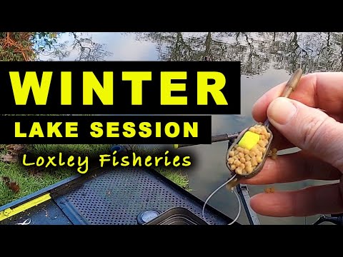 WINTER Lake Session - CARP on NEW BAITS Match Feeder Fishing