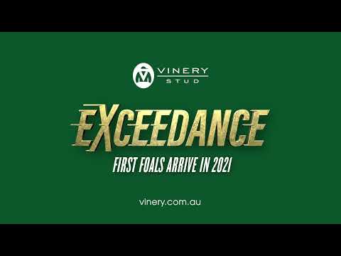 EXCEEDANCE - Gr.1 Coolmore Stud Stakes winner - standing at Vinery Stud