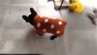 Poppy doesn't like her sweater