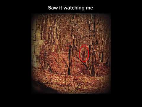 Wretched | Flos Caro