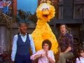 Sesame Street Hello Hello Hello