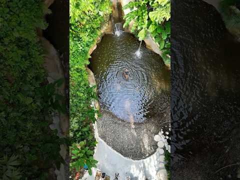Banyan Hotel en Doradal Antioquia