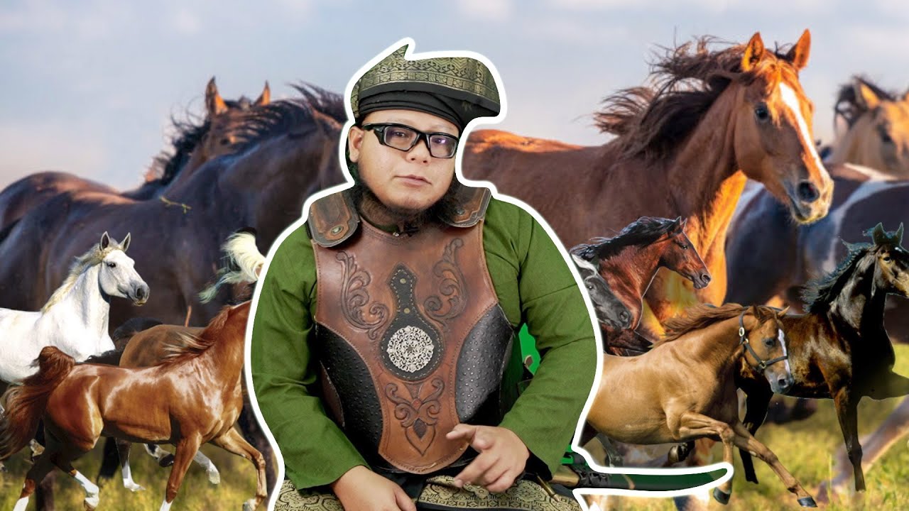 Kuda Ada Banyak Jenis Tuan-Tuan