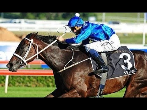 2016 The Star Doncaster Mile G1 - Winx (雲絲仙子) - H Bowman