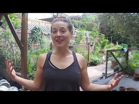 Thoracic rotation, shoulder stability, and breath: a general look at how they apply in gait