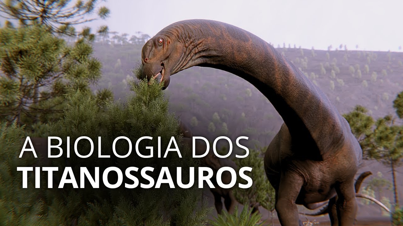 Elephants will NEVER be as big as Titanosaurs, here's why!