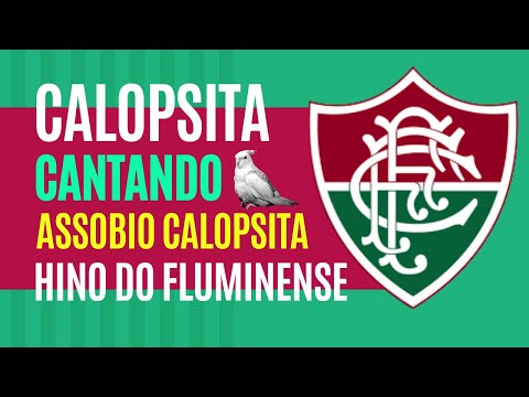 Calopsita Cantando Hino do Fluminense - [ASSOBIO CALOPSITA] - COCKATIEL