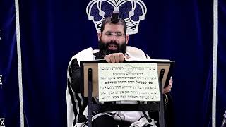 דף היומי עבודה זרה דף ס"ח ע"ב ¤ הרב נתנאל אברז'ל ¤ בית הכנסת "בית מרדכי" (מוסדות תורת דוד) - התמונה מוצגת ישירות מתוך אתר האינטרנט יוטיוב. זכויות היוצרים בתמונה שייכות ליוצרה. קישור קרדיט למקור התוכן נמצא בתוך דף הסרטון דף היומי עבודה זרה דף ס"ח ע"ב ¤ הרב נתנאל אברז'ל ¤ בית הכנסת "בית מרדכי" (מוסדות תורת דוד) - התמונה מוצגת ישירות מתוך אתר האינטרנט יוטיוב. זכויות היוצרים בתמונה שייכות ליוצרה. קישור קרדיט למקור התוכן נמצא בתוך דף הסרטון