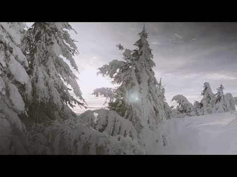 Bergbahnen Feldis | Einfach echt.