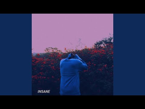 INSANE