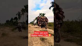 Download lagu viral motor ojek sawit muatan Overload #youtubeshorts #viralvideo mp3