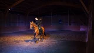 Extrait du spectacle "Mille chevaux d'écume"