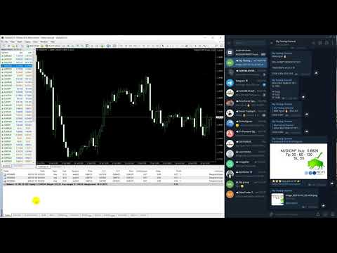 Video Telegram To MT4 Copier