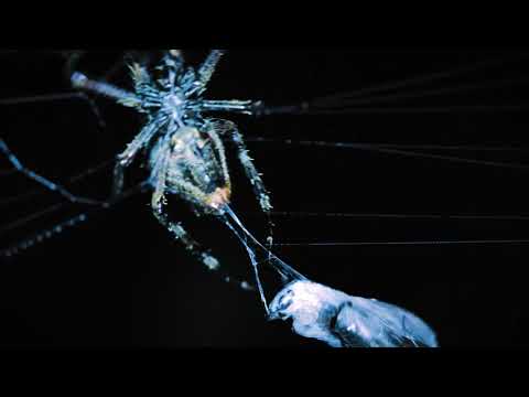 One Dark Night escape room