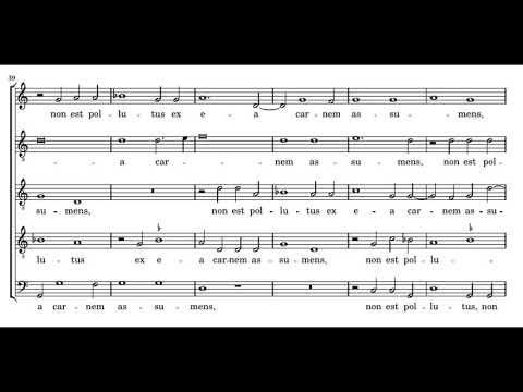 Willaert: Magnum haereditatis misterium - Singer Pur