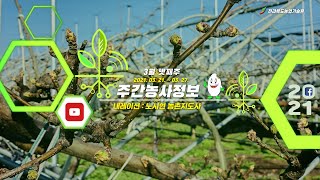 [ 주간농사정보 ] 3월 넷째주