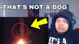 Top 10 GHOST Videos SO SCARY I Had To Have EMERGENCY SURGERY | REACTION | Nuke's Top 5