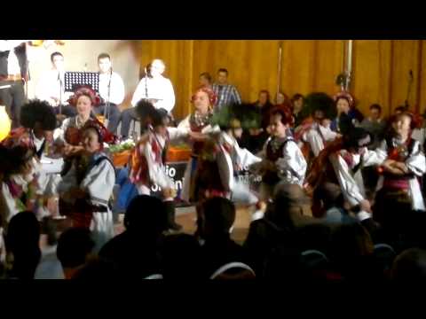 Dans Ansamblul Doina