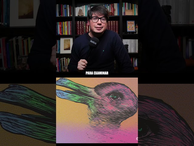 Vídeo relacionado con Filonimo. El pato de Wittgenstein (LITERATURA INFANTIL)