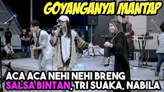 Download lagu Kedatangan Salsa Bintan Auto Pargoyyyy !!! mp3