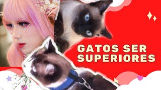 Como [Mudar a Opinio] da Sua Me em Um Espirro  