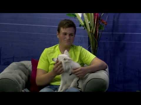 Dunavsko popodne 15.9 - gost, Nikola Stojković