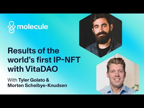 First Results of The World's First IP-NFT I The Longevity Molecule (w./ VitaDAO)