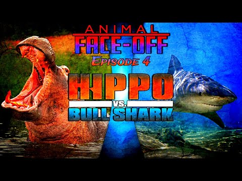 Animal Face Off (2004) Episode 4 Hippo Vs. Bull Shark