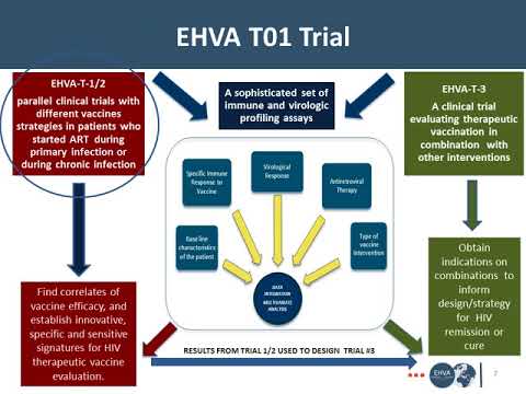 Vaccine and Cure Research in Europe the EHVA and HIVACAR Consortiums