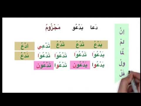Madina 2   Lesson 59   Understanding weak verbs in منصوب and مجزوم Forms with Light harf and Lightes