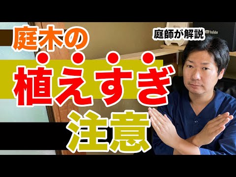 公園の小道沿いの植林地