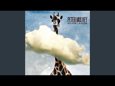 Sympathies - Peter Mulvey