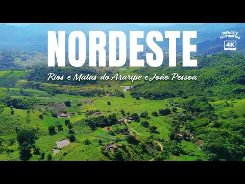 Northeast of Brazil - Landscapes to relax - Rivers and Forests  - DJI 4K Drone