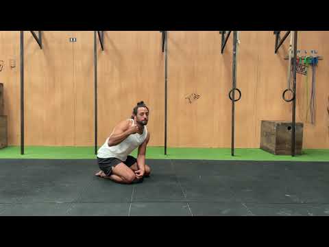 Clase 1/5 - Introducción al Animal Flow - Parte 1