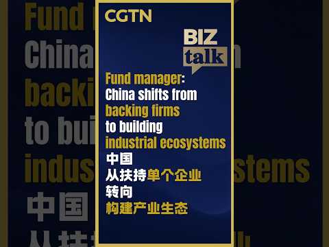 Fund manager: China shifts from backing firms to building industrial ecosystems