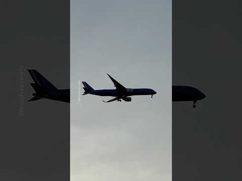 ITA AIRWAYS landing Ezeiza #airbus350 #airbus #boeing #iphone #buenosaires #ezeiza #landing #samsung