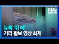 뉴욕 ‘쥐 떼’ 거리 활보 영상 화제 kbs 2023.09.12.