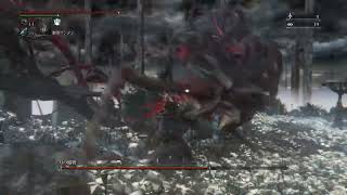 ボス戦のみ動画化していくBloodborne#11（狩人の夢）