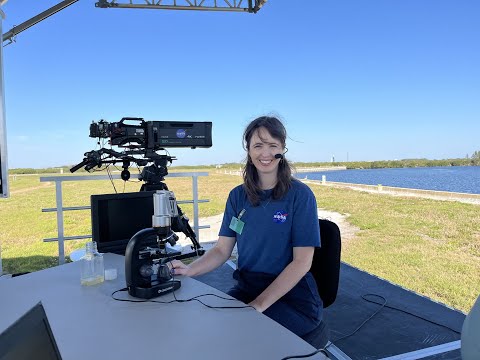 NSN Webinar Series: From Data to Discovery: Communicating PACE Science with Carina Poulin