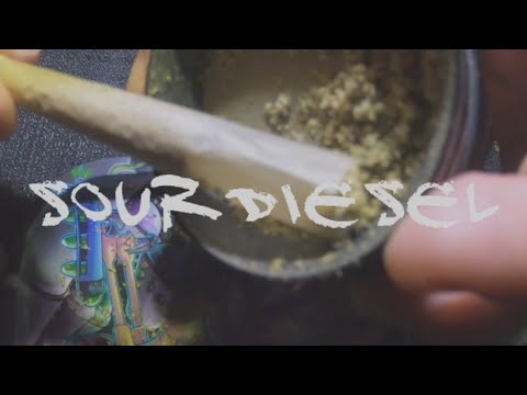 Sour Diesel - Bulldogg (Official Music Video)