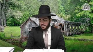 הרב יצחק מאזוז - הנחת סידור או אוכל על עץ בשבת, מה הדין בילד שעלה על אילן // סימן של"ו סעיפים א' ב' (מוסדות כיסא רחמים) - התמונה מוצגת ישירות מתוך אתר האינטרנט יוטיוב. זכויות היוצרים בתמונה שייכות ליוצרה. קישור קרדיט למקור התוכן נמצא בתוך דף הסרטון