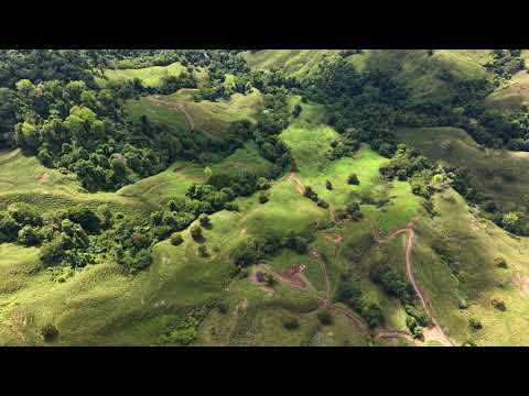 Venta de Finca en San Marcos de Barú, Pérez Zeledón