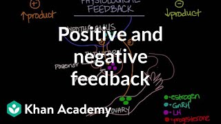 Physiological concept of positive and negative feedback | Behavior | MCAT | Khan Academy