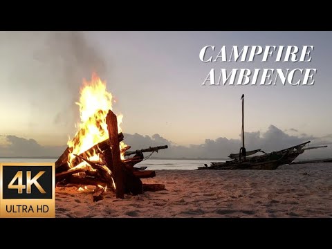4K Campfire Ambience on a Tanzanian Beach at Sunrise - Relaxing Fire, Ocean & Nature Sounds
