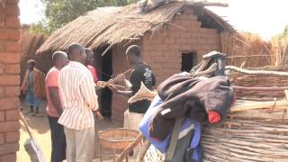 Omnivore Malawi Mouse Boys trailer