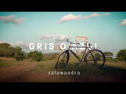 Salamandra - Gris o Azul
